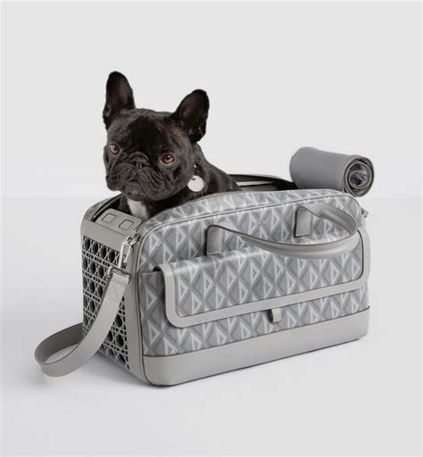 dior pet